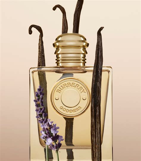 burberry goddes perfume|burberry goddess chemist warehouse.